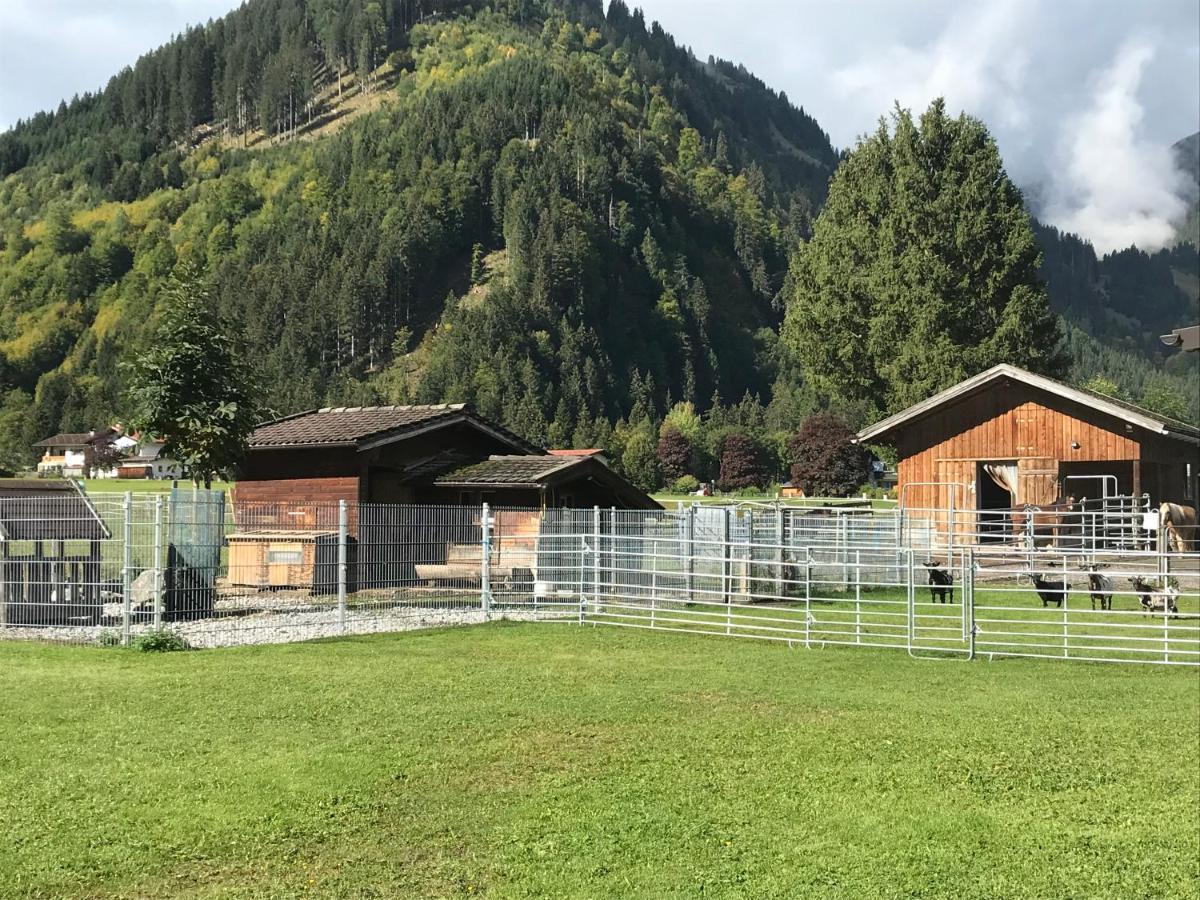 Pony-Ziegen-Hasen-Ranch Bichlbach Appartement Buitenkant foto