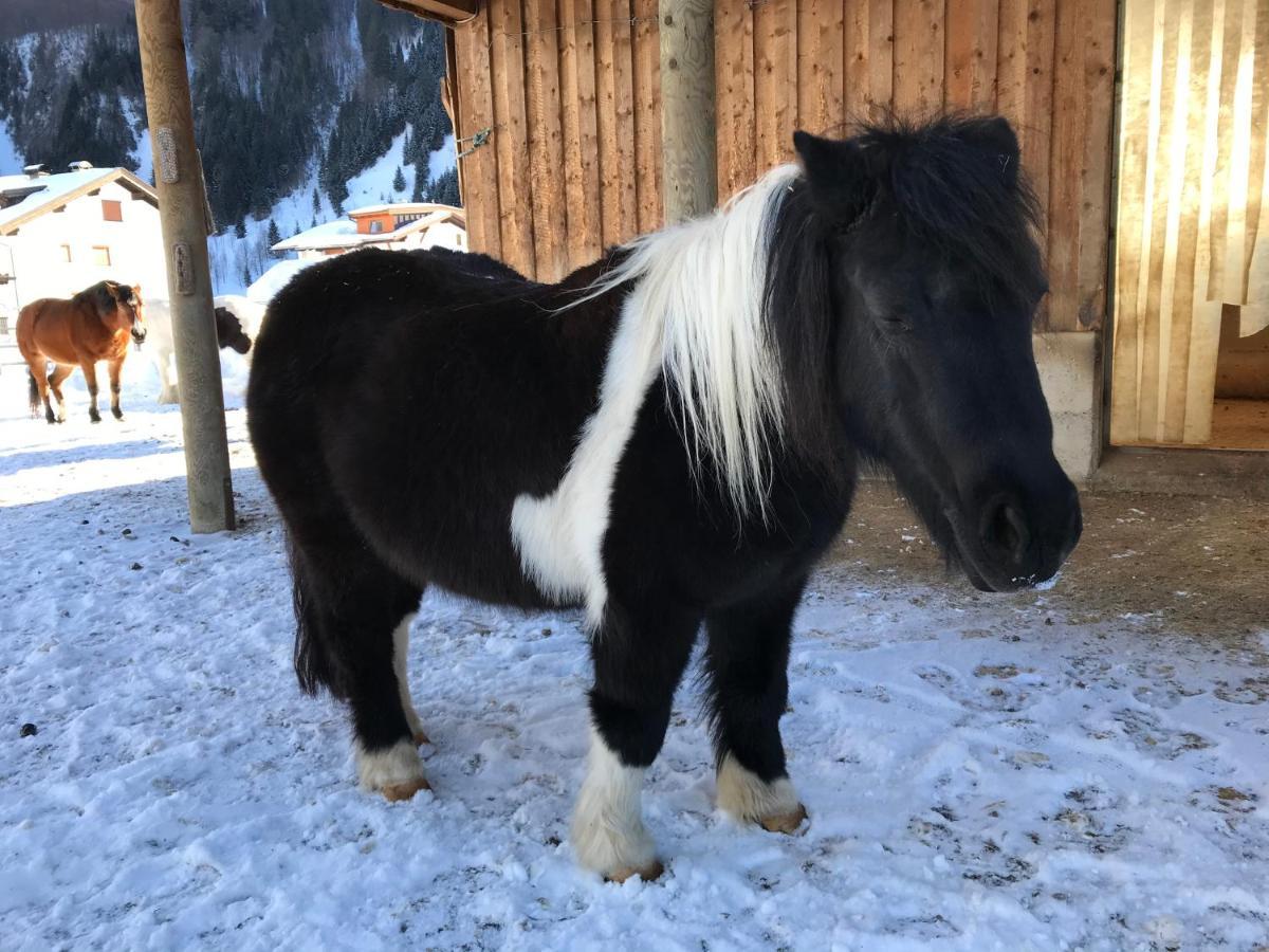 Pony-Ziegen-Hasen-Ranch Bichlbach Appartement Buitenkant foto