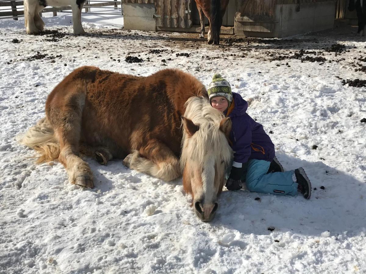 Pony-Ziegen-Hasen-Ranch Bichlbach Appartement Buitenkant foto